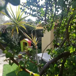  Casa vacanze Sa Domu Antiga